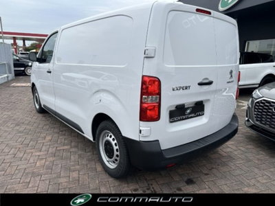 Peugeot Expert Furgone BlueHDi 100 S&S PL-TN Furgone Premium Standard (4)
