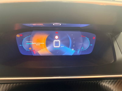Peugeot 208 BlueHDi 100 Stop&Start 5 porte Allure (11)