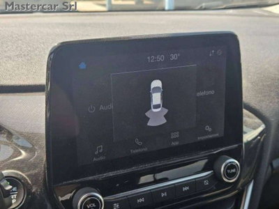 Ford Fiesta 1.0 Ecoboost 95 CV 5 porte ST-Line (15)