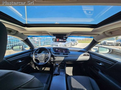 Lexus ES 300h 2.5 Premium cvt (11)