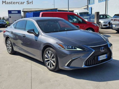 Lexus ES 300h 2.5 Premium cvt (8)