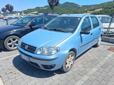 Fiat Punto 1.2 5 porte Active Natural Power usata