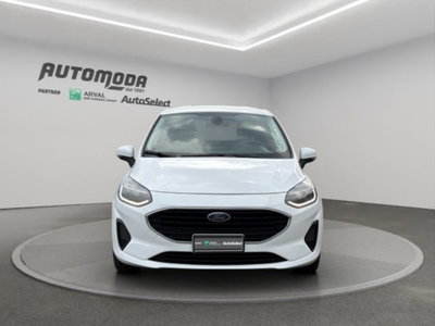 Ford Fiesta 1.1 75 CV 3 porte  Trend (2)