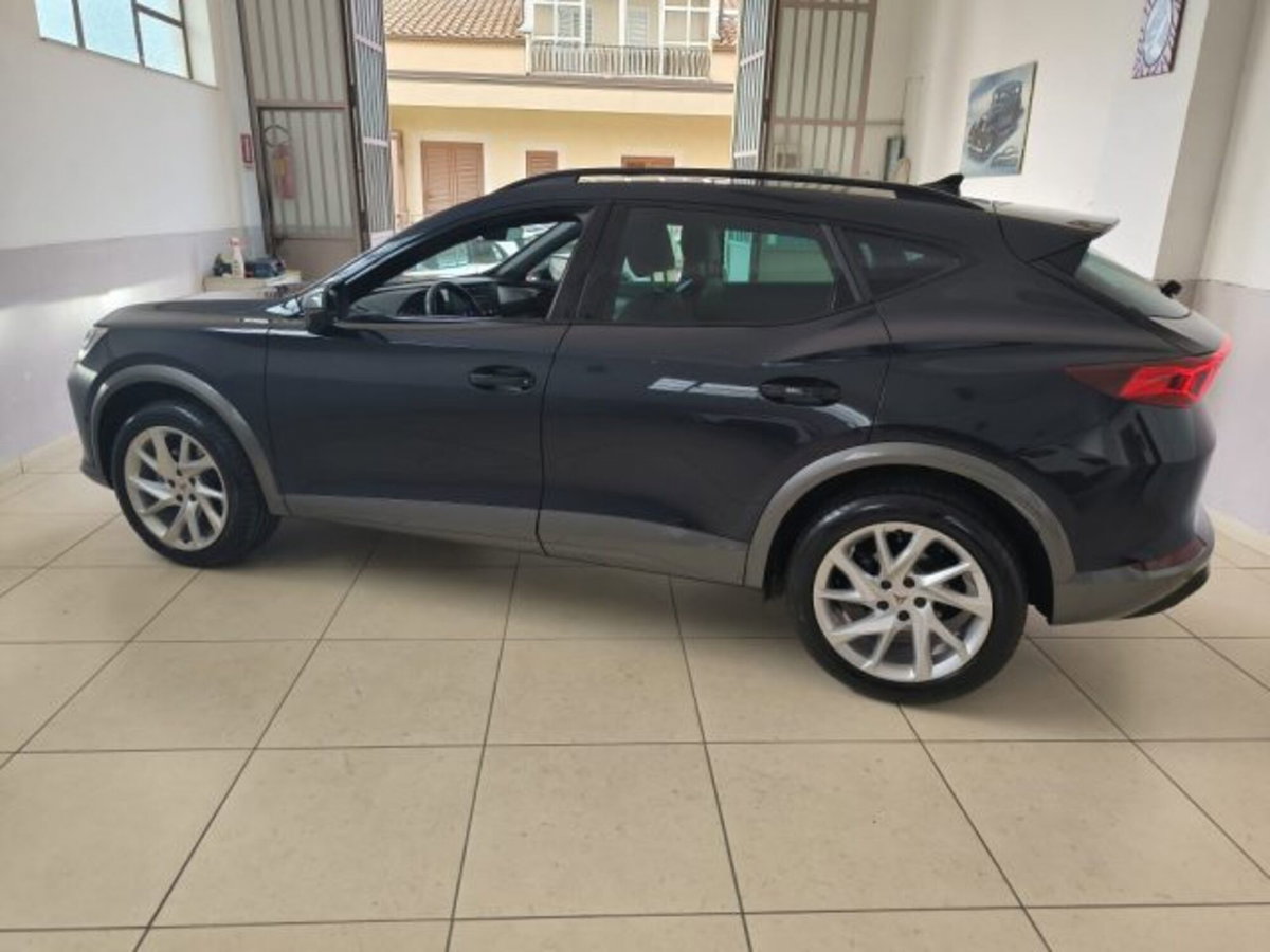 Cupra Formentor Formentor 2.0 tdi 4drive 150cv dsg (3)