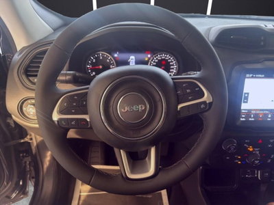 Jeep Renegade 1.6 Mjt 120 CV Limited (10)