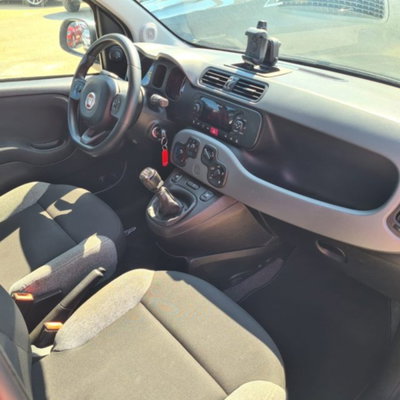 Fiat Panda 1.0 firefly hybrid s&s 70cv 5p.ti (10)