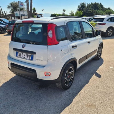 Fiat Panda 1.0 firefly hybrid s&s 70cv 5p.ti (3)