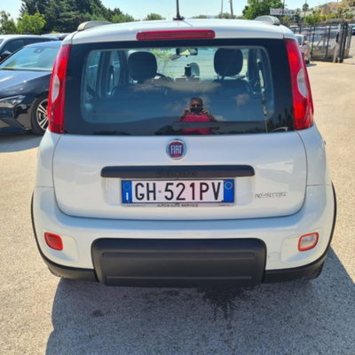 Fiat Panda 1.0 firefly hybrid s&s 70cv 5p.ti (8)