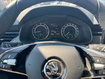Skoda Kamiq 1.0 TSI 110 CV DSG Ambition (10)