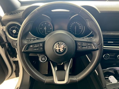 Alfa Romeo Stelvio Stelvio 2.2 Turbodiesel 190 CV AT8 Q4 Super Business (8)