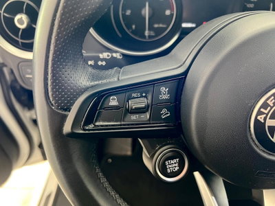 Alfa Romeo Stelvio Stelvio 2.2 Turbodiesel 190 CV AT8 Q4 Super Business (9)