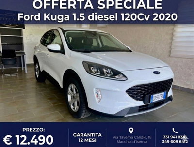 Ford Kuga 1.5 EcoBlue 120 CV 2WD Titanium usata