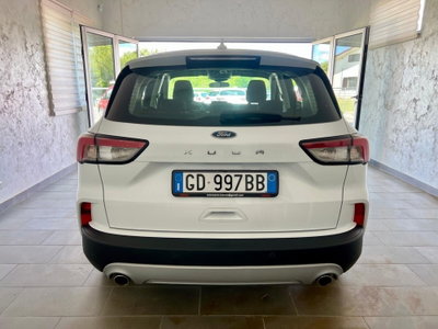 Ford Kuga 1.5 EcoBlue 120 CV 2WD Titanium (5)