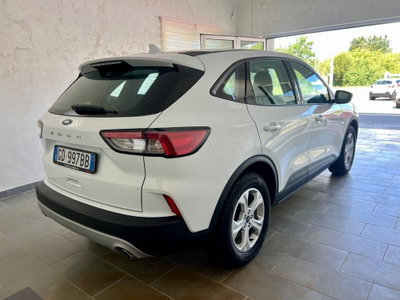Ford Kuga 1.5 EcoBlue 120 CV 2WD Titanium (6)