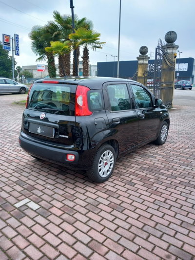 Fiat Panda Cross Cross 1.0 FireFly S&S Hybrid (5)