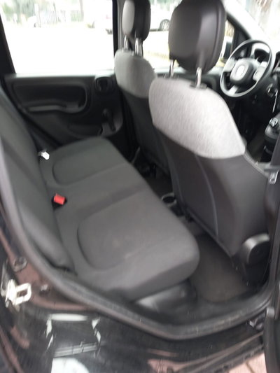 Fiat Panda Cross Cross 1.0 FireFly S&S Hybrid (8)