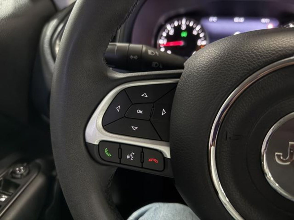 Jeep Renegade 1.6 Mjt 130 CV Limited (14)