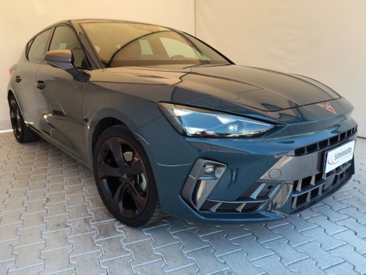 Cupra Leon Leon 2.0 tdi 150cv dsg (3)