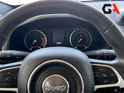 Jeep Renegade 1.6 Mjt DDCT 120 CV Business (10)