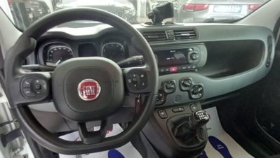 Fiat Panda 1.0 firefly hybrid s&s 70cv 5p.ti (7)