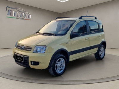 Fiat Panda 1.2 4x4 usata