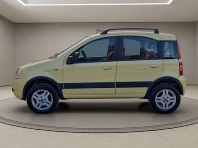 Fiat Panda 1.2 4x4 (2)