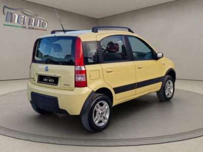 Fiat Panda 1.2 4x4 (5)