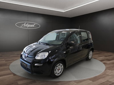 Fiat Panda Cross Cross 1.0 FireFly S&S Hybrid usata