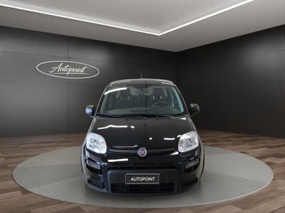 Fiat Panda Cross Cross 1.0 FireFly S&S Hybrid (2)
