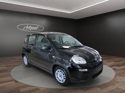 Fiat Panda Cross Cross 1.0 FireFly S&S Hybrid (3)