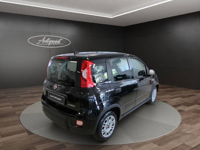 Fiat Panda Cross Cross 1.0 FireFly S&S Hybrid (5)