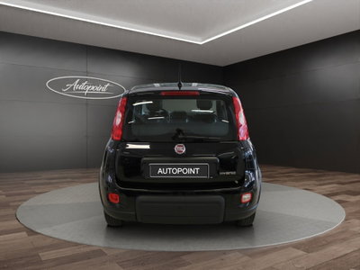 Fiat Panda Cross Cross 1.0 FireFly S&S Hybrid (6)