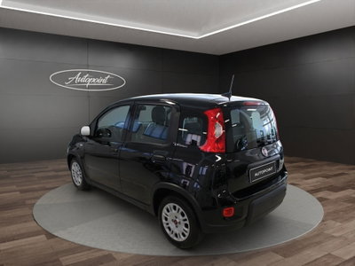 Fiat Panda Cross Cross 1.0 FireFly S&S Hybrid (7)
