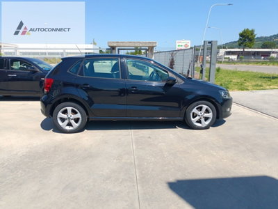 Volkswagen Polo 1.2 TDI DPF 5 p. United (7)
