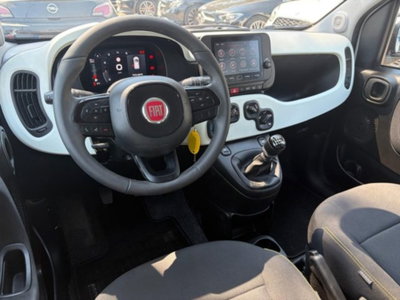 Fiat Panda 1.0 firefly hybrid s&s 70cv 5p.ti (10)