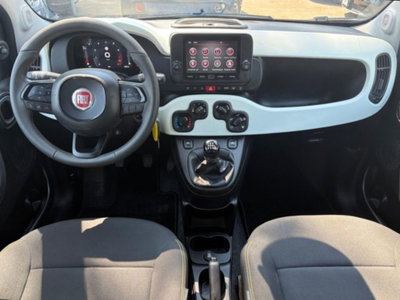 Fiat Panda 1.0 firefly hybrid s&s 70cv 5p.ti (11)