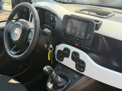 Fiat Panda 1.0 firefly hybrid s&s 70cv 5p.ti (13)