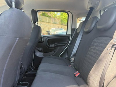 Fiat Panda 1.0 firefly hybrid s&s 70cv 5p.ti (15)