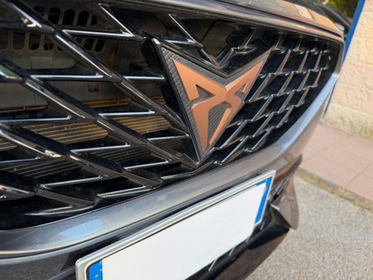Cupra Formentor Formentor 1.5 TSI (8)