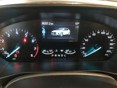 Ford Focus 1.0 EcoBoost Hybrid 125 CV Powershift 5p. Active Style (10)