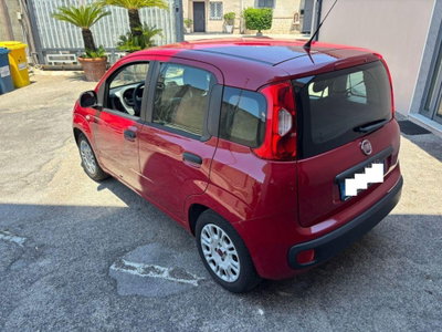 Fiat Panda 1.2 Easy (12)