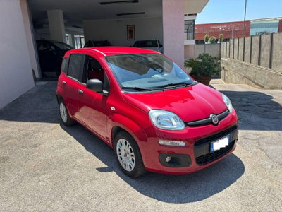 Fiat Panda 1.2 Easy (2)