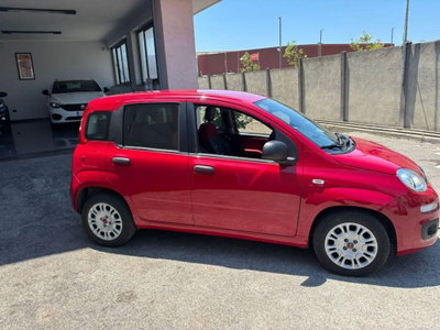 Fiat Panda 1.2 Easy (6)