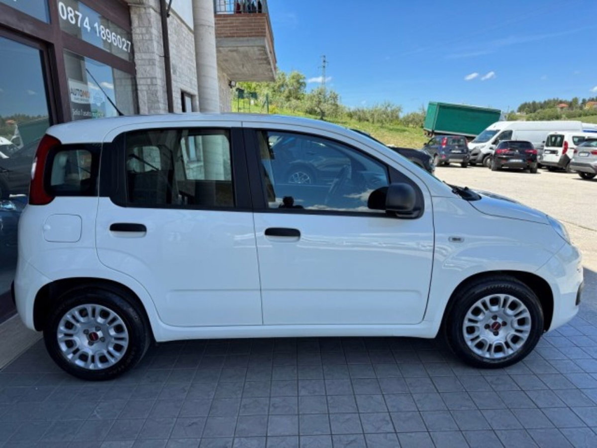 Fiat Panda 1.0 firefly hybrid Pop s&s 70cv (10)