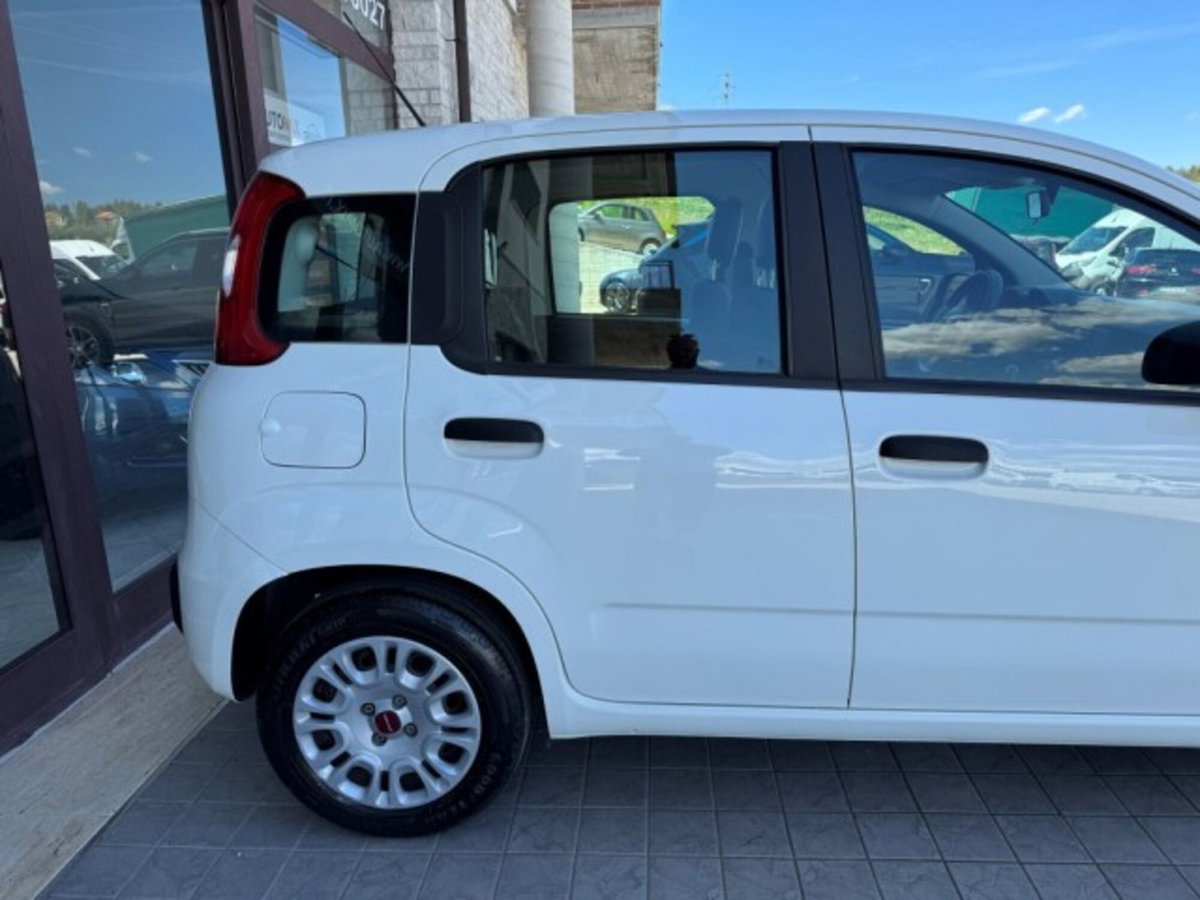 Fiat Panda 1.0 firefly hybrid Pop s&s 70cv (11)