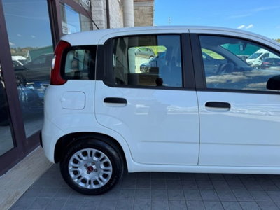 Fiat Panda 1.0 firefly hybrid s&s 70cv 5p.ti (11)