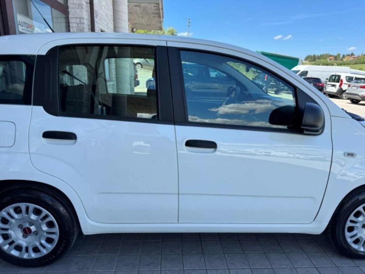 Fiat Panda 1.0 firefly hybrid Pop s&s 70cv (12)