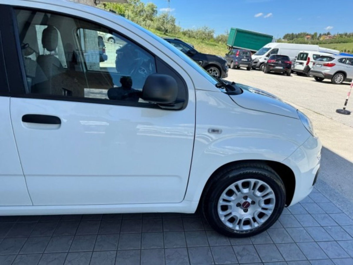 Fiat Panda 1.0 firefly hybrid Pop s&s 70cv (13)
