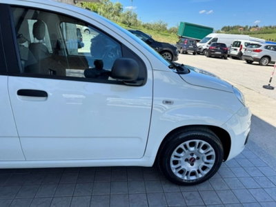 Fiat Panda 1.0 firefly hybrid s&s 70cv 5p.ti (13)