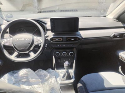 Dacia Sandero Stepway 1.0 tce Extreme Up 110cv (7)